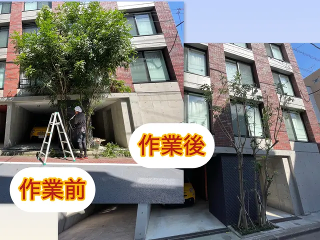 プロの技術でご満足いただけるように心を込めて作業いたしますサービスの画像