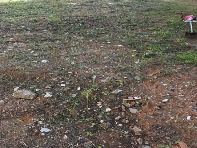 草刈り機で綺麗に草刈りいたします！！ゴミも回収し現場スッキリ！サービスの画像