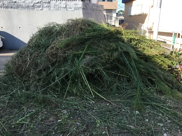 草刈り機で綺麗に草刈りいたします！！ゴミも回収し現場スッキリ！サービスの画像