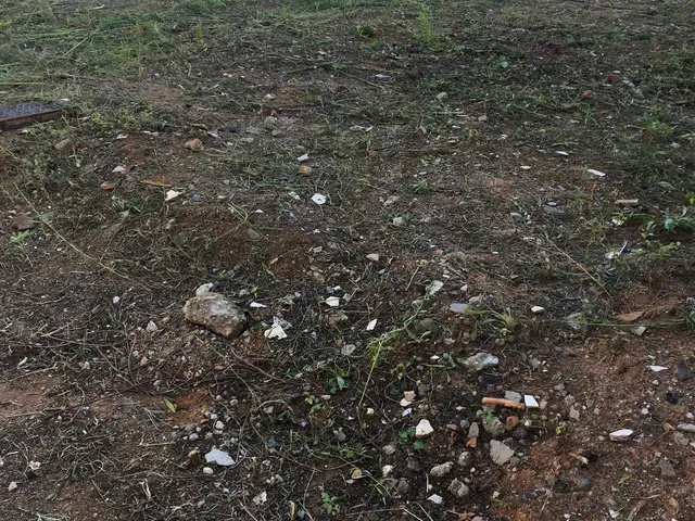 草刈り機で綺麗に草刈りいたします！！ゴミも回収し現場スッキリ！サービスの画像