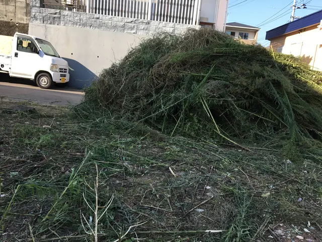 草刈り機で綺麗に草刈りいたします！！ゴミも回収し現場スッキリ！サービスの画像