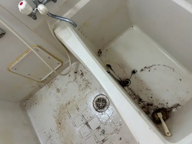 年末まであと少し！ピカピカピカお風呂でリフレッシュサービスの画像