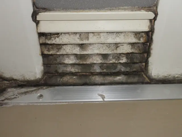 【丁寧第一主義！】実務経験２０年以上！　☆手間ひまかけて綺麗にします★サービスの画像