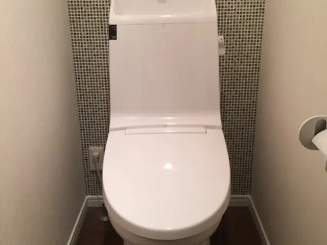 クレジット対応！汚れのつきにくいトイレで清潔感up！ピカピカ綺麗に！サービスの画像