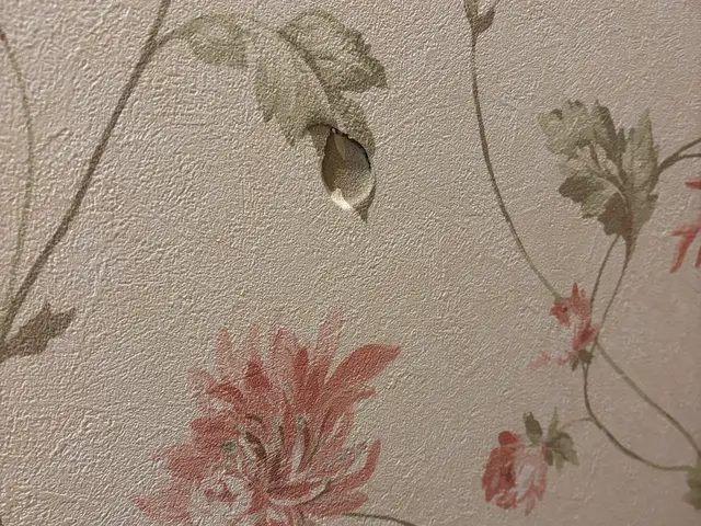 壁の穴、凹みの補修をします。サービスの画像