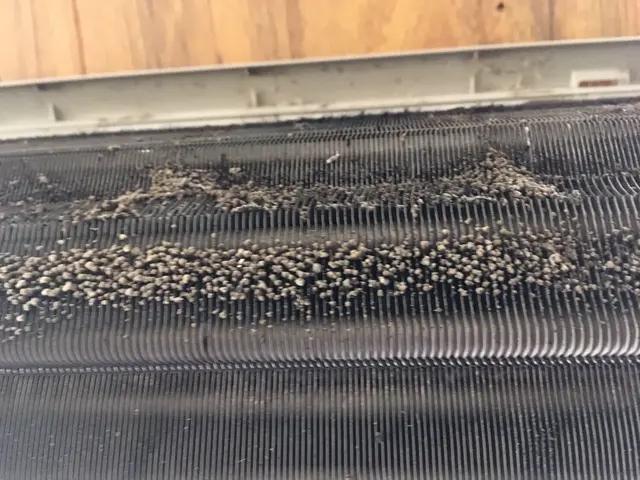 家庭用、壁掛けエアコンクリーニングサービスの画像