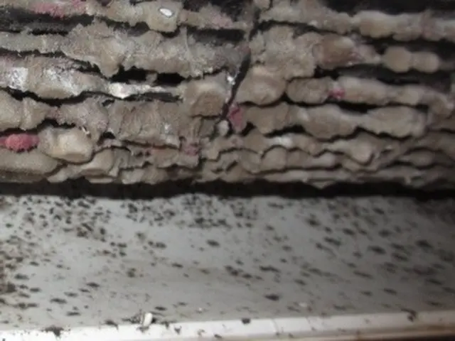 家庭用、壁掛けエアコンクリーニングサービスの画像