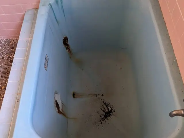 創業13年・ペイペイ支払いOK！浴槽の塗装・オゾン発生器で除菌・消臭。サービスの画像