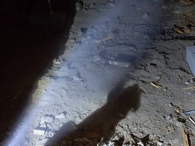 【しろあり防除施工士】◎経験27年◎的確なシロアリ対策をご提供！サービスの画像