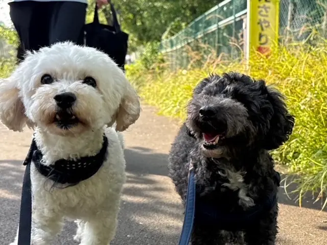 5月新規出店！安心と信頼の1000件以上！家族のような温もりで見守るペットケアサービスの画像