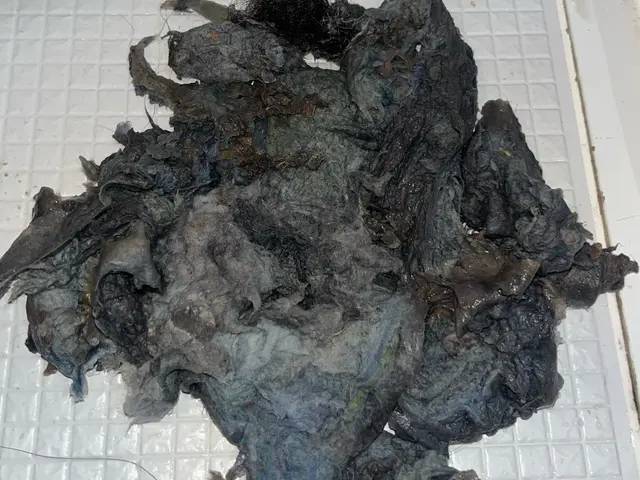 【安心•安全の国内４大メーカー保証あり！】☆子育て世代に大人気☆サービスの画像