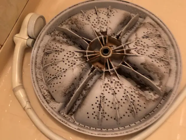 縦型洗濯機クリーニング！自社で対応！損害保険加入サービスの画像