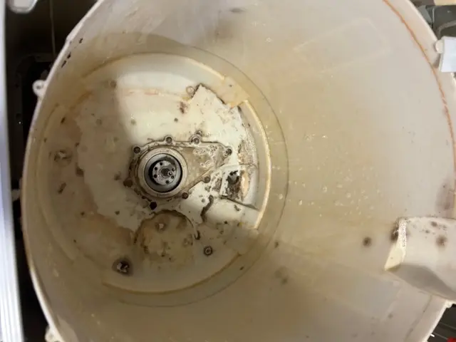 縦型洗濯機クリーニング！自社で対応！損害保険加入サービスの画像