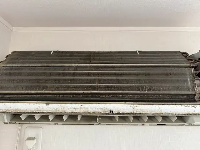 実績3000台以上！プロの技術でピカピカに☆カビも臭いも徹底除去◎サービスの画像