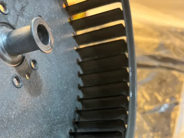 ★オープン記念キャンペーン中★期間限定料金サービスの画像