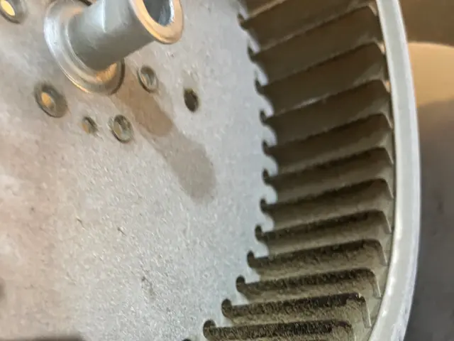 ★オープン記念キャンペーン中★期間限定料金サービスの画像