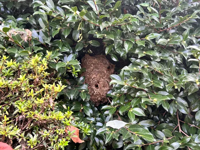 ★施工後1カ月保証★　夜間早朝対応もご相談ください！サービスの画像