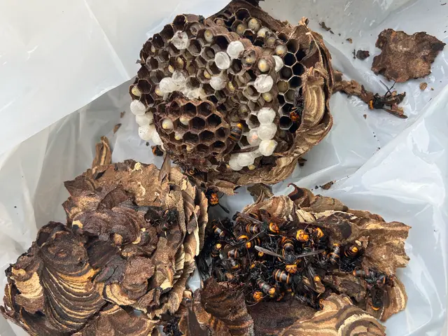 ★施工後1カ月保証★　夜間早朝対応もご相談ください！サービスの画像