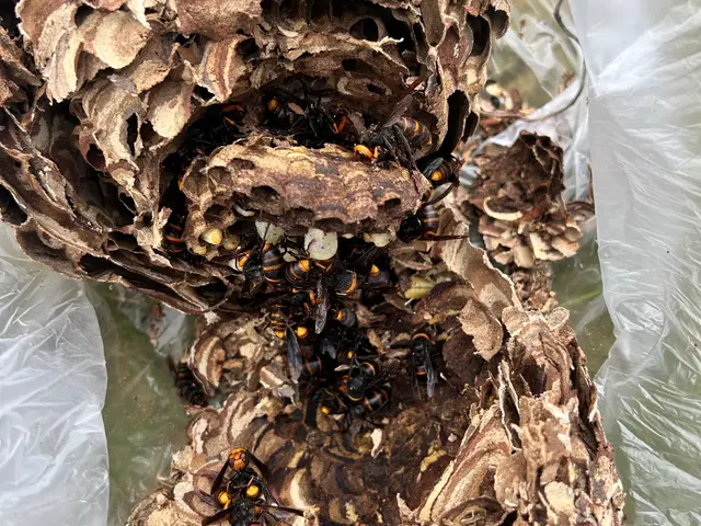 ★施工後1カ月保証★　夜間早朝対応もご相談ください！サービスの画像