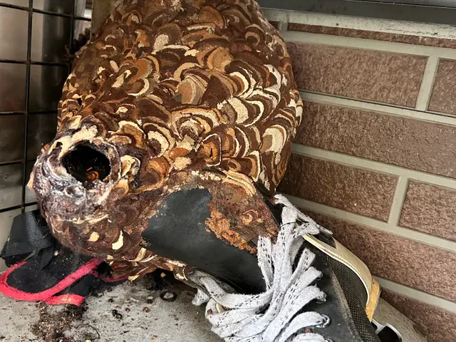 ★施工後1カ月保証★　夜間早朝対応もご相談ください！サービスの画像