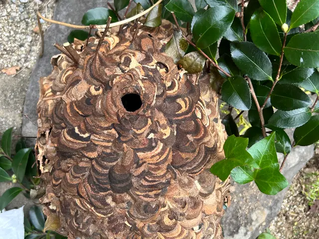 ★施工後1カ月保証★　夜間早朝対応もご相談ください！サービスの画像