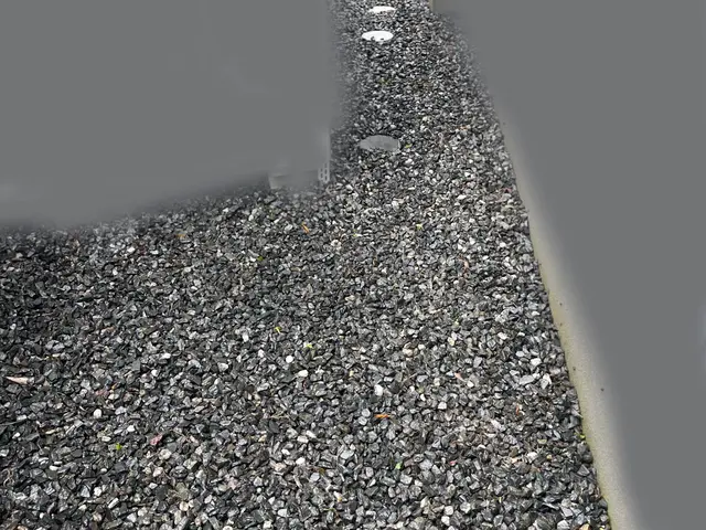 草むしり作業サービスの画像