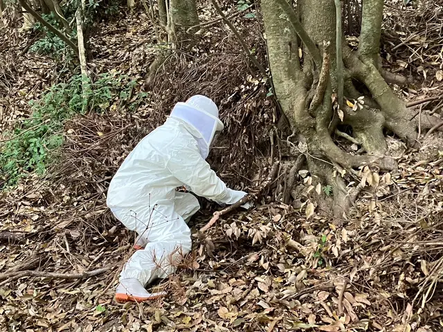 業界歴27年、蜂の巣撤去実績500件以上! 害虫駆除の専門家にお任せください！サービスの画像