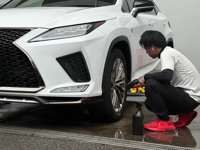 [純水使用の出張洗車サービス]サービスの画像