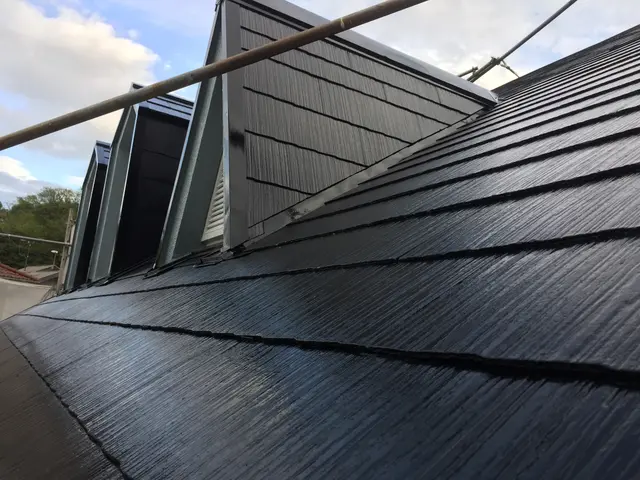 【1級塗装技能士】【外壁診断士】【28年の実績】の親方坂木が丁寧に仕上げます！サービスの画像