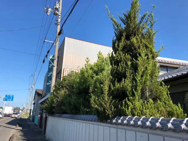 年中無休対応可能！早くて丁寧な庭木剪定サービスの画像