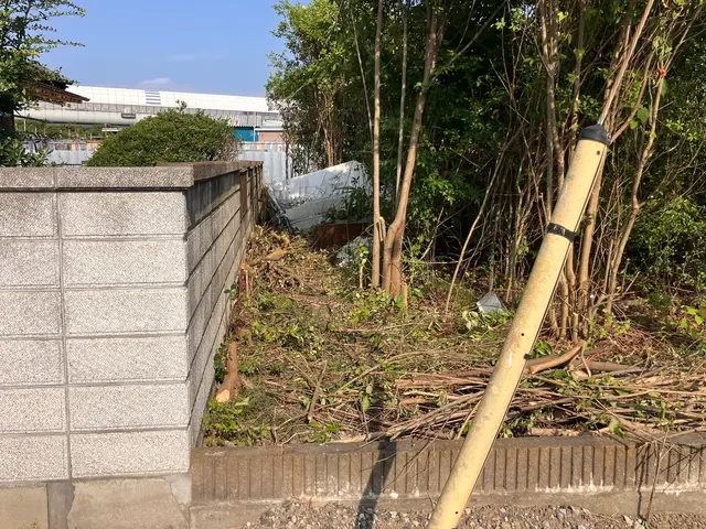 高木伐採、雑木、広範囲までなんでもご相談ください！サービスの画像