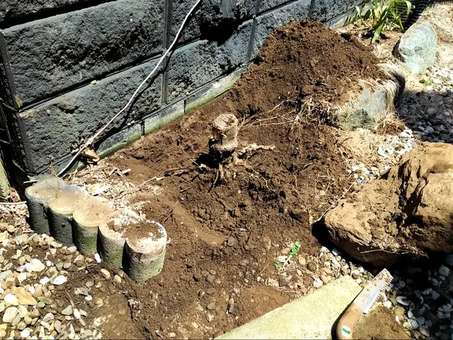 高木伐採、雑木、広範囲までなんでもご相談ください！サービスの画像