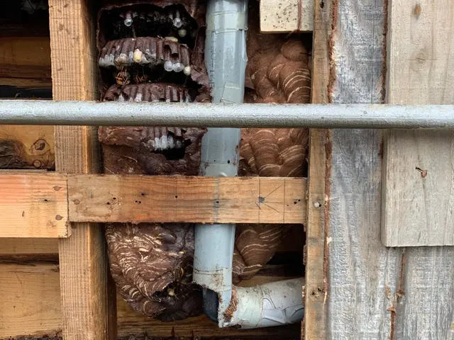 【業歴11年】24時間・年中無休で対応！損害保険加入済み！女性スタッフ同行OK！サービスの画像