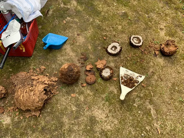 【業歴11年】24時間・年中無休で対応！損害保険加入済み！女性スタッフ同行OK！サービスの画像