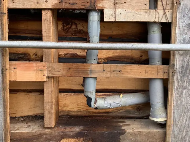 【業歴11年】24時間・年中無休で対応！損害保険加入済み！女性スタッフ同行OK！サービスの画像