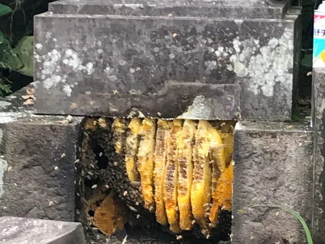 【業歴11年】24時間・年中無休で対応！損害保険加入済み！女性スタッフ同行OK！サービスの画像