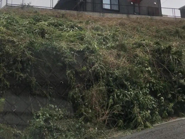 女性スタッフ同行可能◎訪問時の駐車場代は当店が負担します！サービスの画像