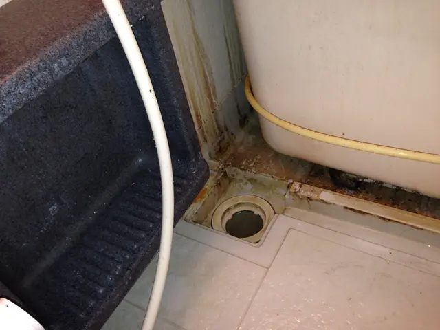 大好評の2点セット。11/30までにご利用でマックカード1,000円分プレゼントサービスの画像