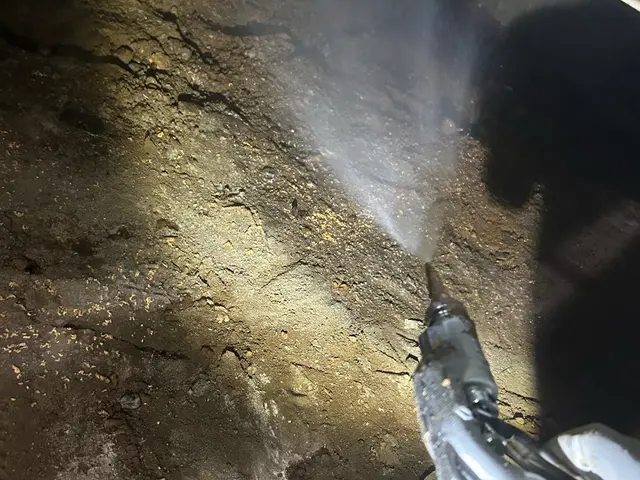 ゴキブリ駆除【対応地域外も相談OK】サービスの画像