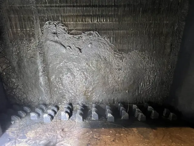 ◉仕上がり重視で丁寧に作業しますサービスの画像