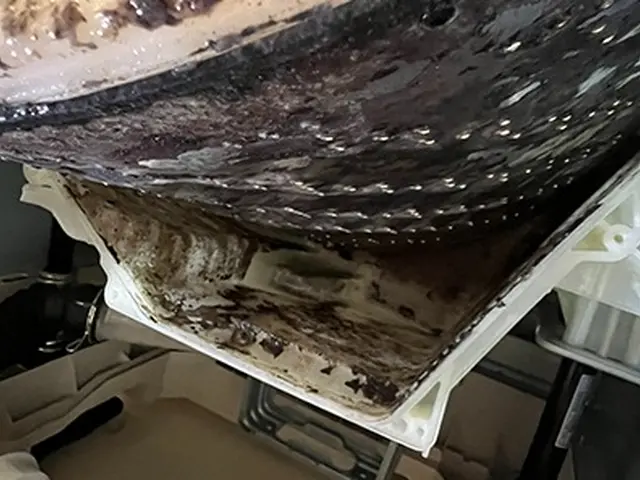 ◉仕上がり重視で丁寧に作業しますサービスの画像