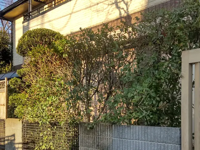 【埼玉県から出向します】損害保険加入済みで安心◎安心と信頼を届けます！サービスの画像