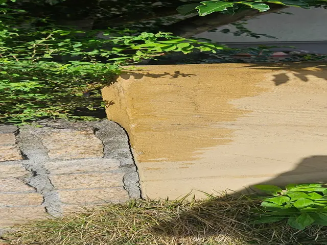 自社スタッフによる丁寧な作業で美しい仕上がりを実現サービスの画像