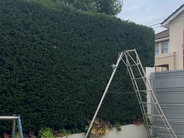 お客様のお力になります！経験と知識を活かして迅速丁寧に作業いたします！サービスの画像