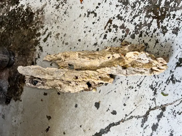 ◆排水設備の有資格者◆徹底的に排水管を洗浄致します！アフターフォローもお任せ！サービスの画像