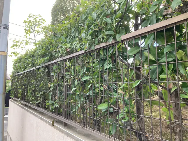 即レス即対応！造園施工管理技士が住宅から公共事業まで多数実績で安心サービスの画像