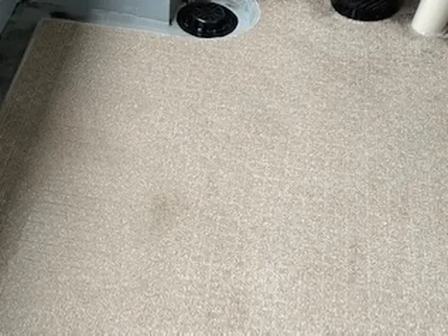 【11月限定割引キャンペーン開催中!】【顧客満足度98%】【1月空きあり】サービスの画像