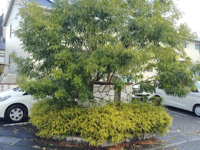 有資格者なので安心、安全です。サービスの画像