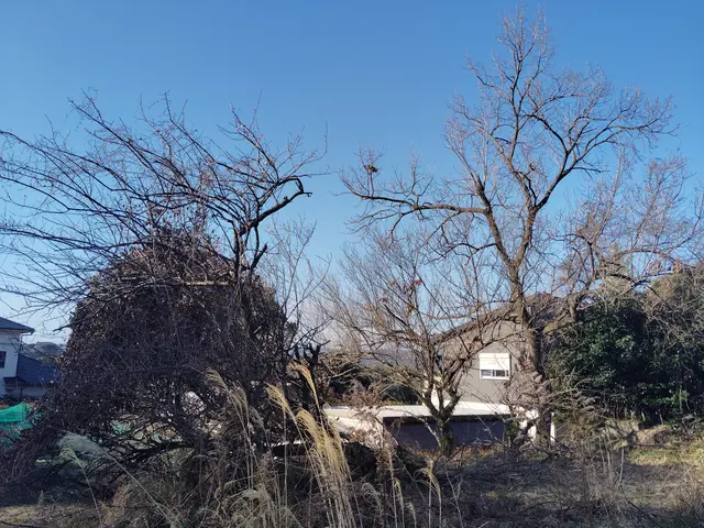 有資格者なので安心、安全です。サービスの画像