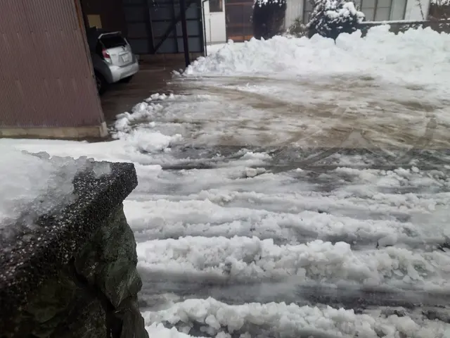 一生懸命やらせていただきますので、よろしくお願いします。サービスの画像